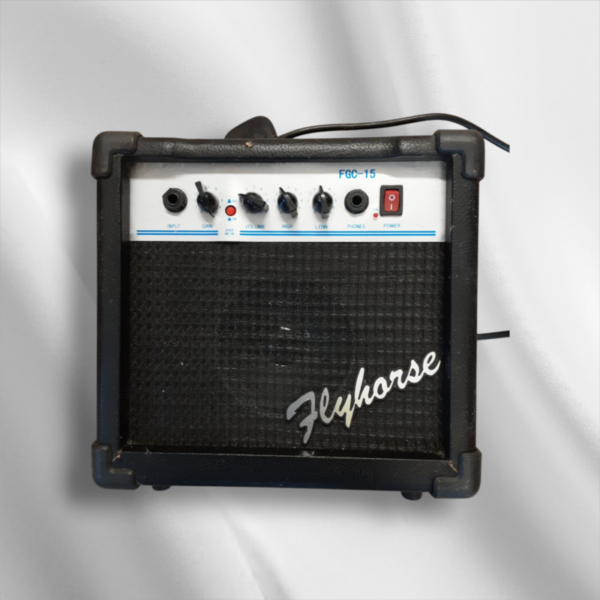 Flyhorse FGC-15 Guitar Amplifier