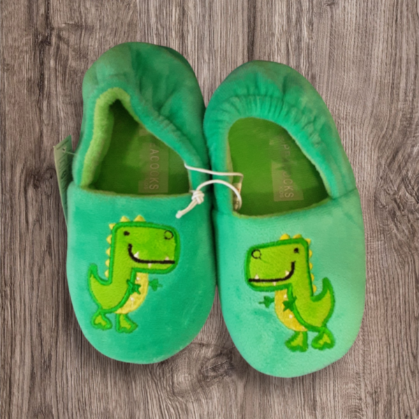 Dinosaur Slippers Size 10-11