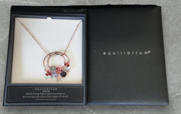 Equilibrium Shine Plated Rose Gold Necklace